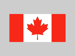 The Power of Nadi Astrology in Canada-Best Nadi Astrologer