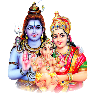 Online nadi astrology in india