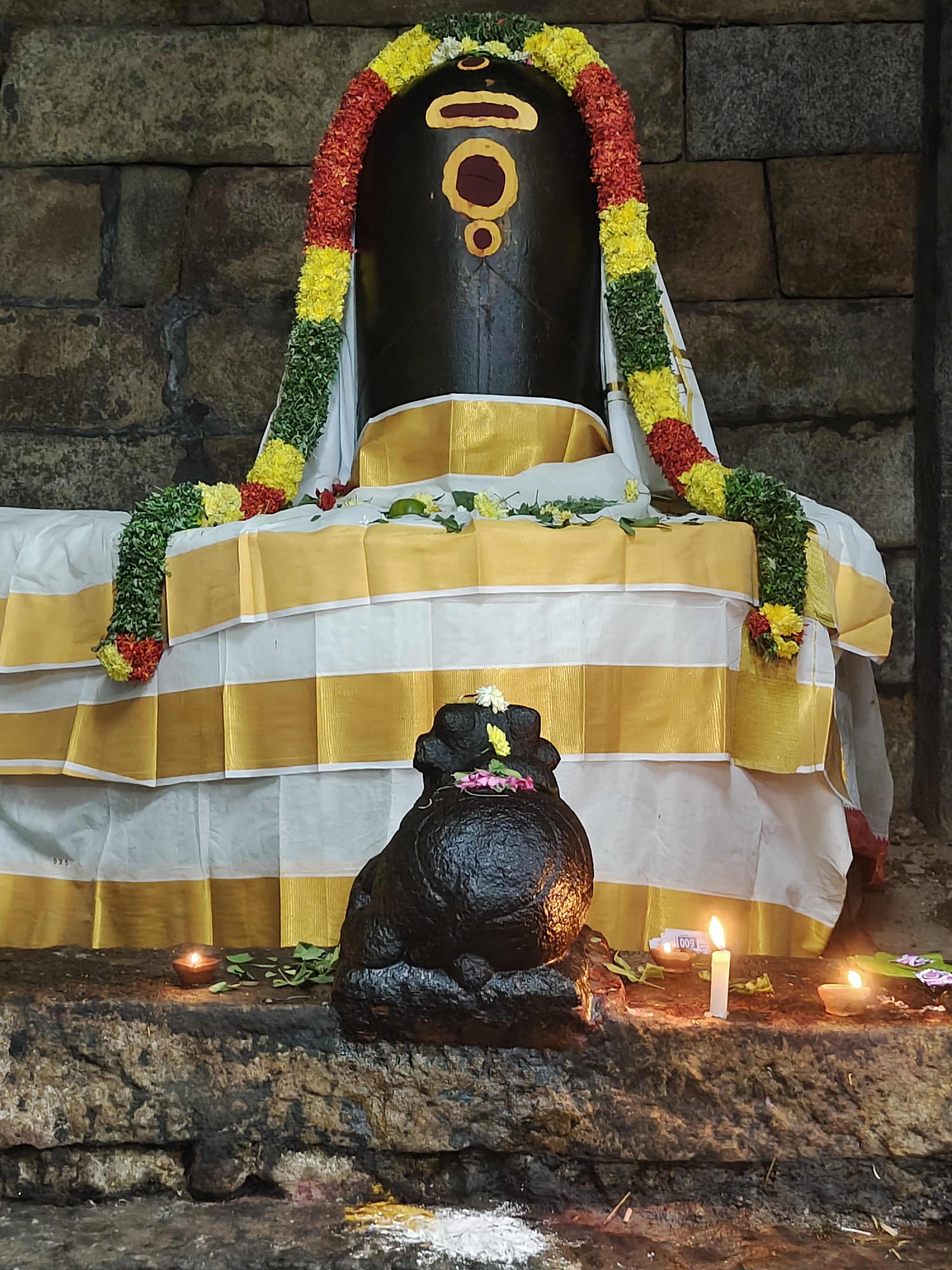 best nadi astrology in Bangalore