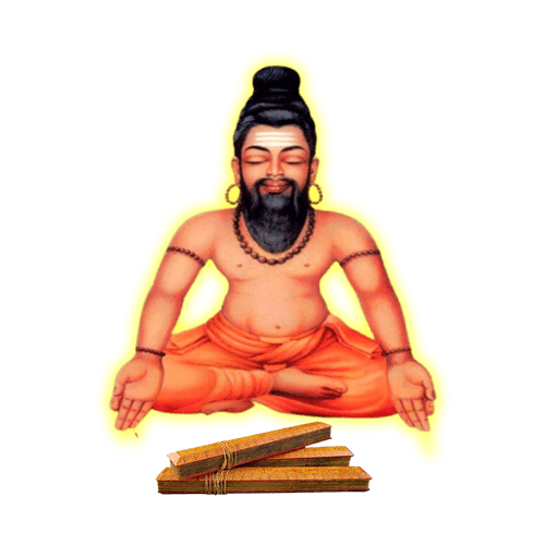 Best Nadi Astrologer in Vaitheeswaran Koil – Guruji N. Sri Krishna Swami