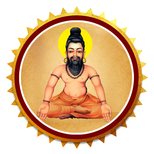 Nadi astrology Pune best nadi astrology services 